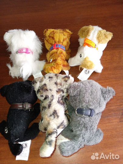 Котята The cat collection, цена за всех