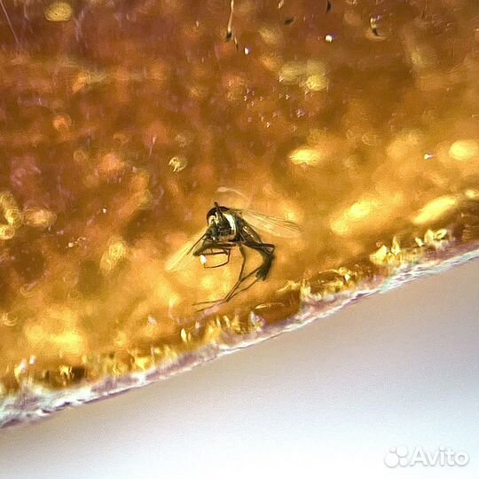 Янтарь с инклюзами Комара натуральный минерал