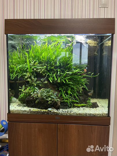 Аквариум Juwel Lido 120л, тёмное дерево