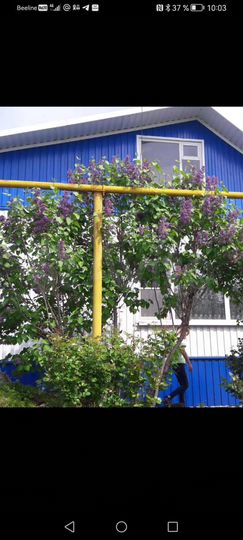 Дом 150 м² на участке 18 сот.