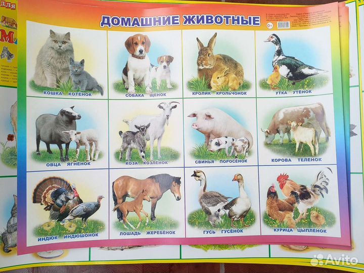 Плакаты для детей