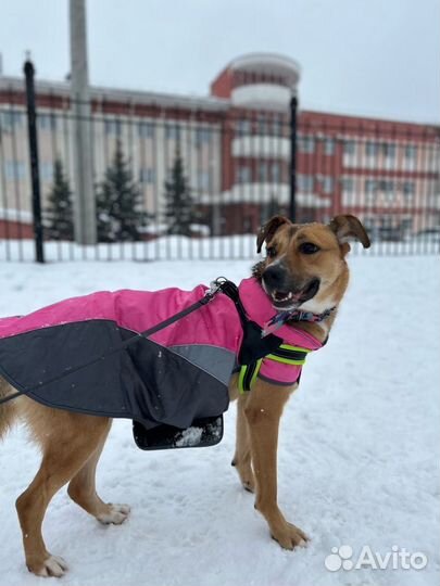 В ожидании семьи