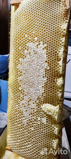 Мед с пасеки Булатовых