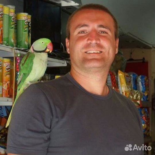 Вызов ветеринарного врача на дом 24/7