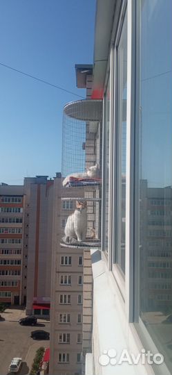 Балкон для кошек и собак
