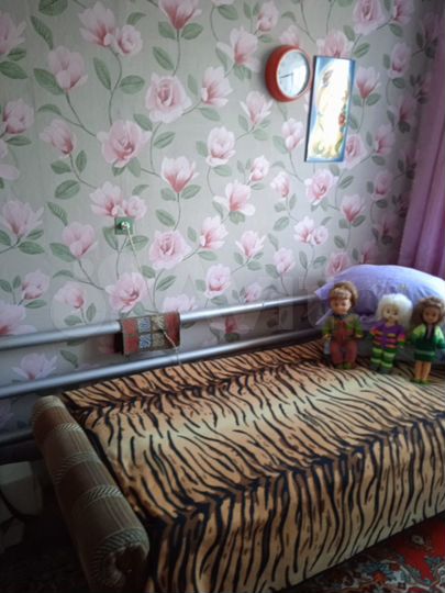 Дом 51 м² на участке 30 сот.