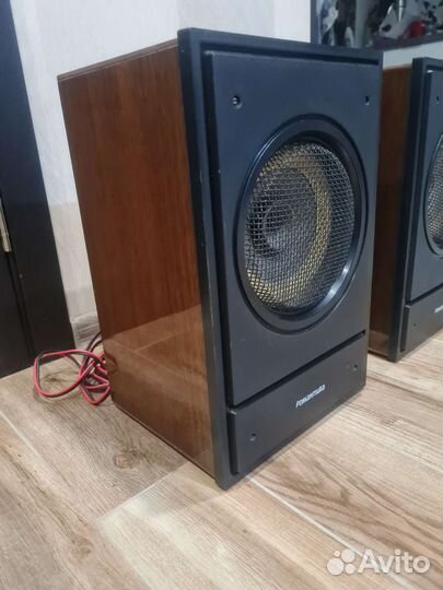 Акустические колонки Романтика 10ас 207