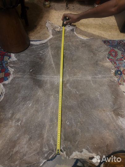 Африканская кожа козы из мали