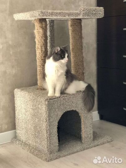 В добрые руки