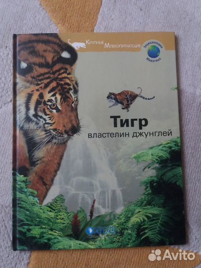 Книга Энциклопедия животных 