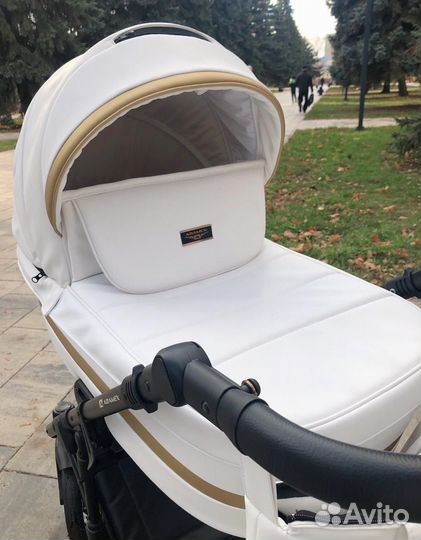 Коляска 2 в 1 Adamex alex