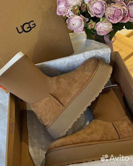 Ugg classic dipper