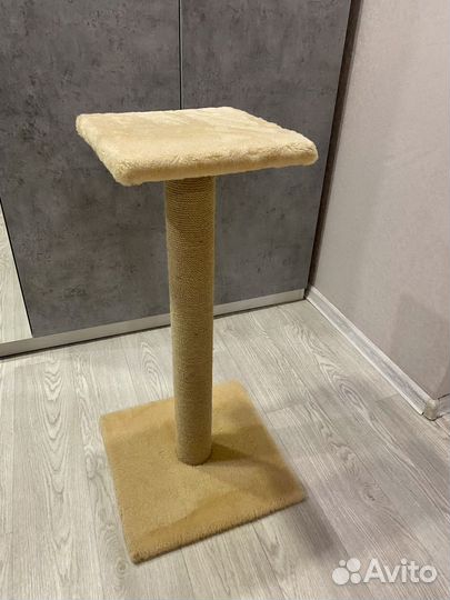 Когтеточка