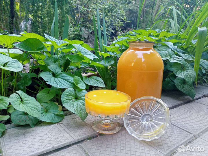 Продаю подсолнечный мед