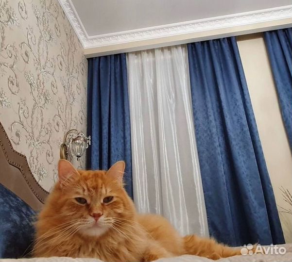 Римские шторы на заказ, 3000 наименований тканей