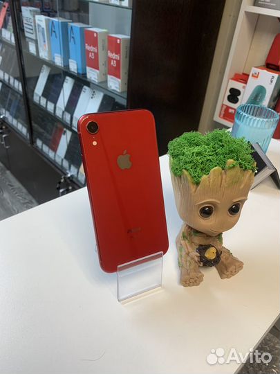 iPhone Xr, 64 ГБ