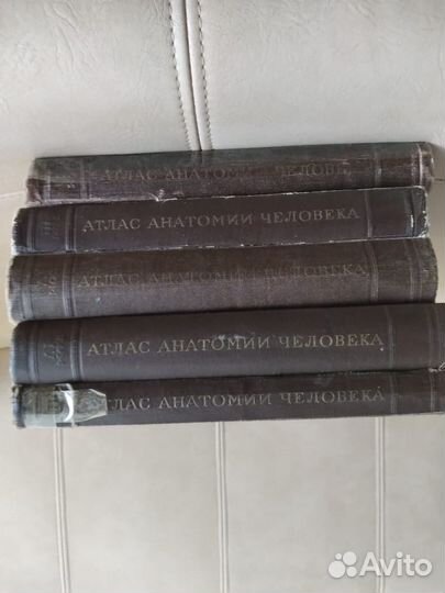 Атлас анатомии человека. В.П. Воробьев 1946г