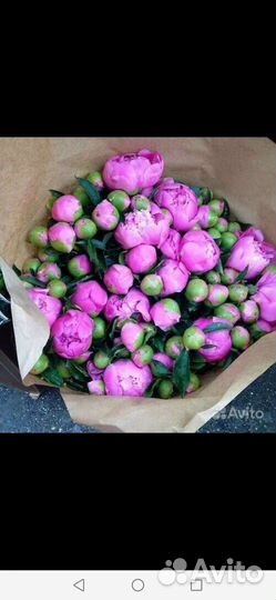 Букет из пионов