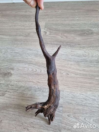 Коряги для аквариума