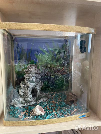 Аквариум