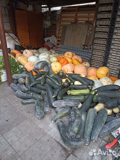 Тыква, картофель