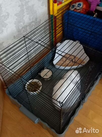 Клетка с кроликом