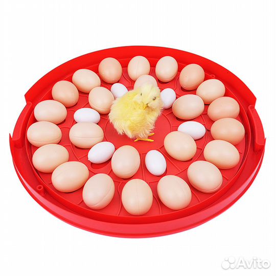 Инкубатор HHD S30 Smile автоматический для яиц