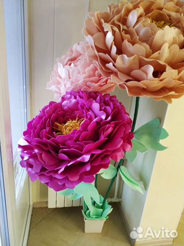 Ростовые цветы