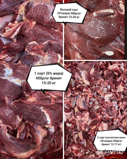 Блочная говядина 2с/1с/вс