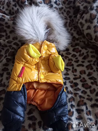 Вещи для мини собачек