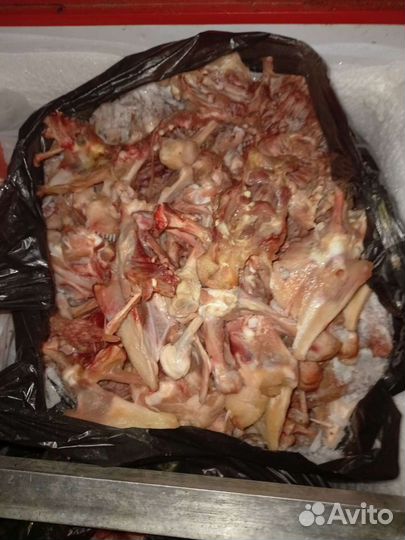 Куриные кости