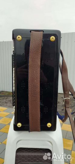 Баян Рубин 6