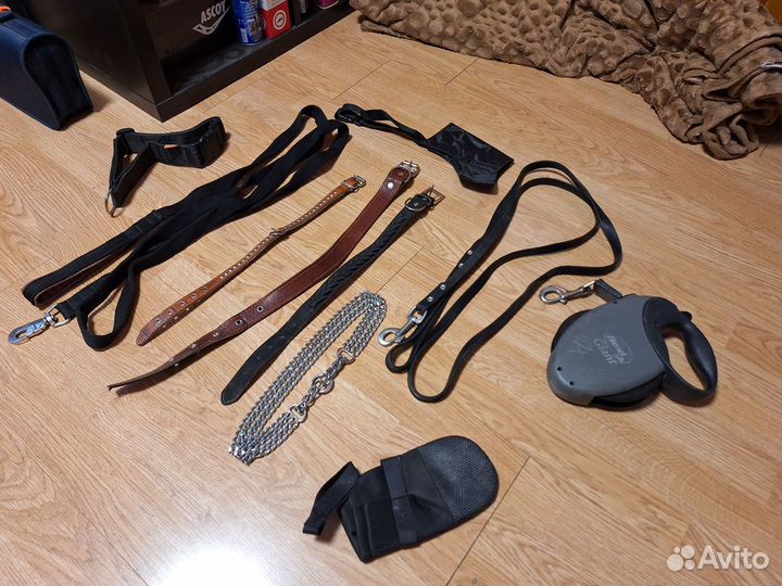 Ошейник, поводок, игрушки, гигиена для собак