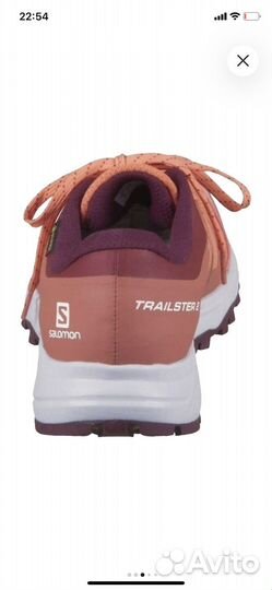 Беговые кроссовки Salomon Trailster 2 GTX