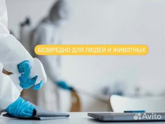 Уничтожение клопов, грызунов и насекомых