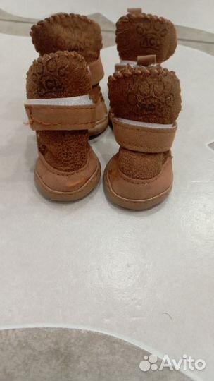 Одежда для маленьких пород собак