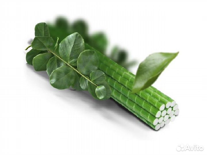 Вечные колышки для садовых растений