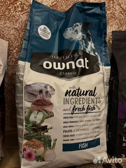 Корм для собак