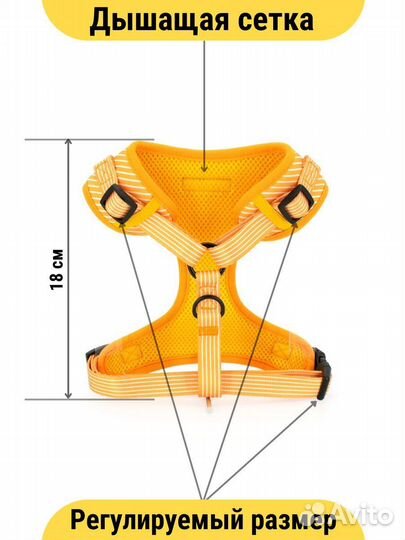 Набор аксессуаров для собак и кошек