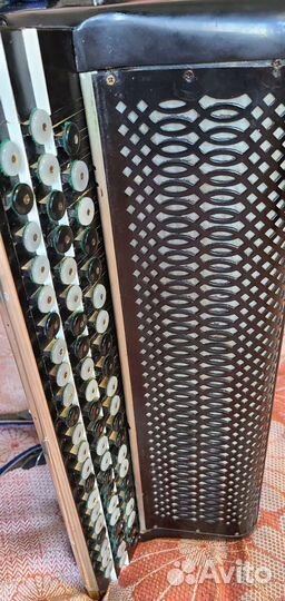 Баян ясная поляна