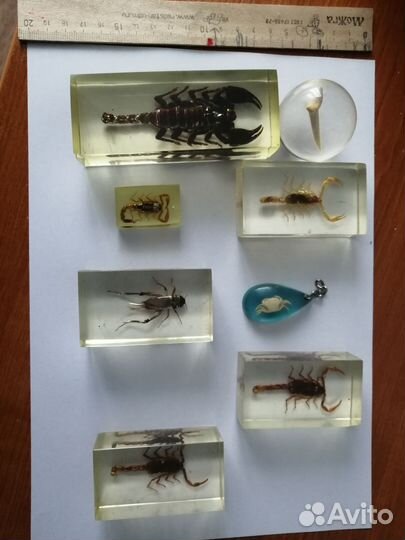 Скорпион и другие