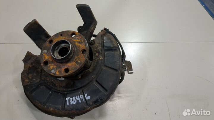 Ступица (кулак, цапфа) Skoda Octavia (A5), 2006