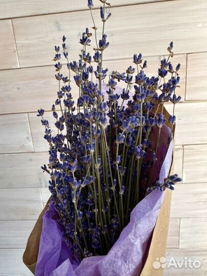 Букет из лаванды