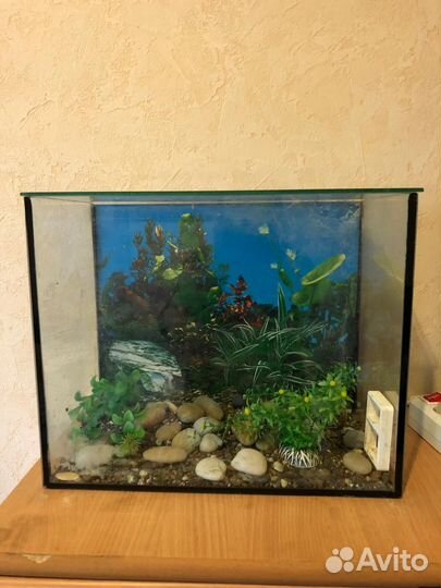 Аквариум