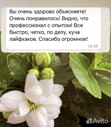 Репетитор Archicad/Наставник дизайнеров/Консалтинг