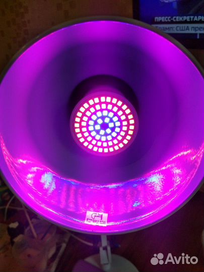 Фитолампа для растений