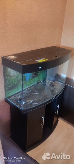 Аквариум juwel vision 180 с тумбой