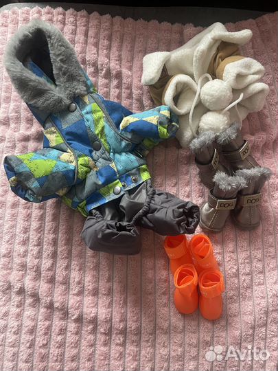 Комбинезон, дублёнка, обувь для маленькой собаки