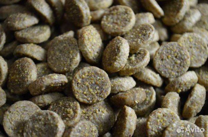 Besar Dog Корм Для Собак Мелких Пород