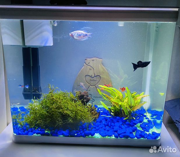 Аквариум